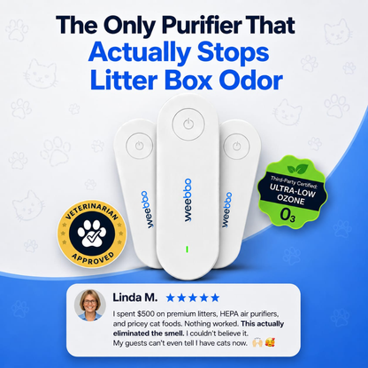 FreshGuard Air Purifier