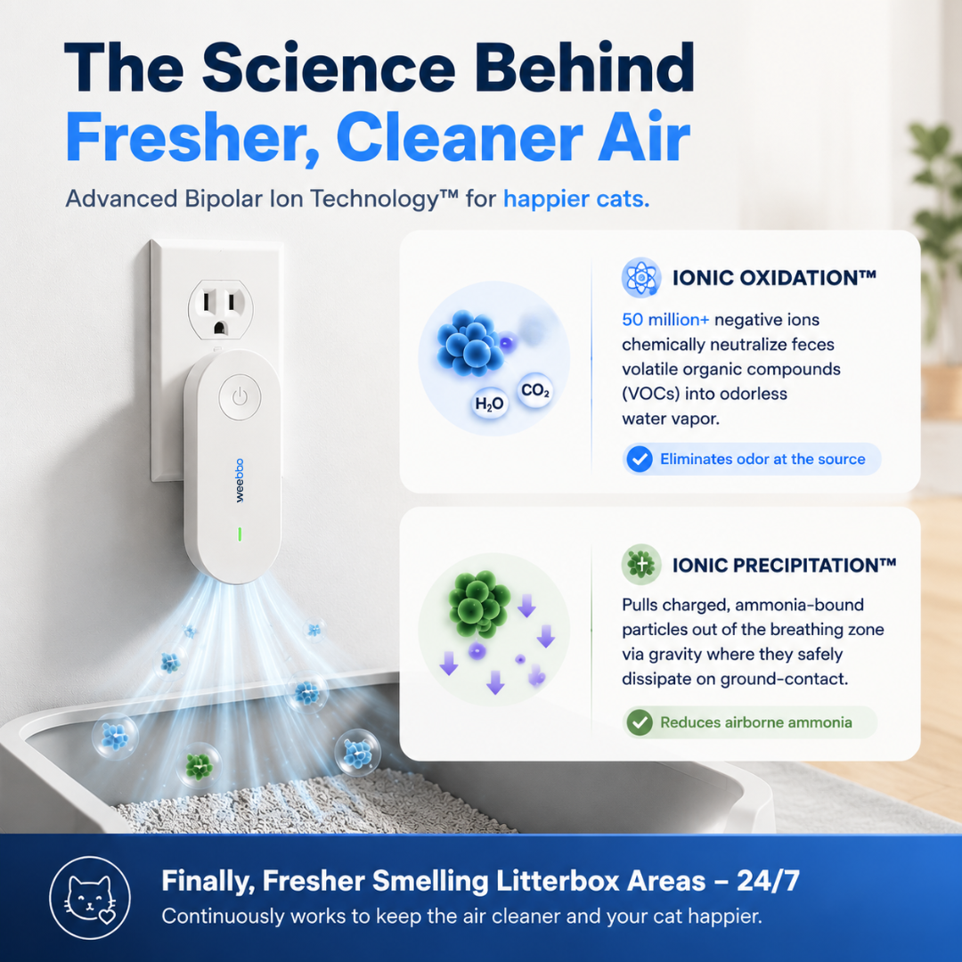 FreshGuard Air Purifier